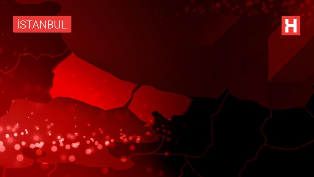 Fransa'da Cezayir'in bağımsızlık sembolü Emir Abdülkadir'in heykeline saldırı