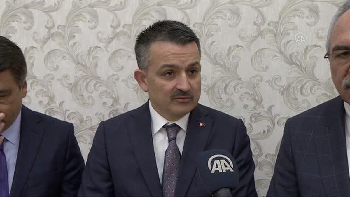 Orman Yangınlarına Yapay Zeka Ile Anında Tespit Haberler