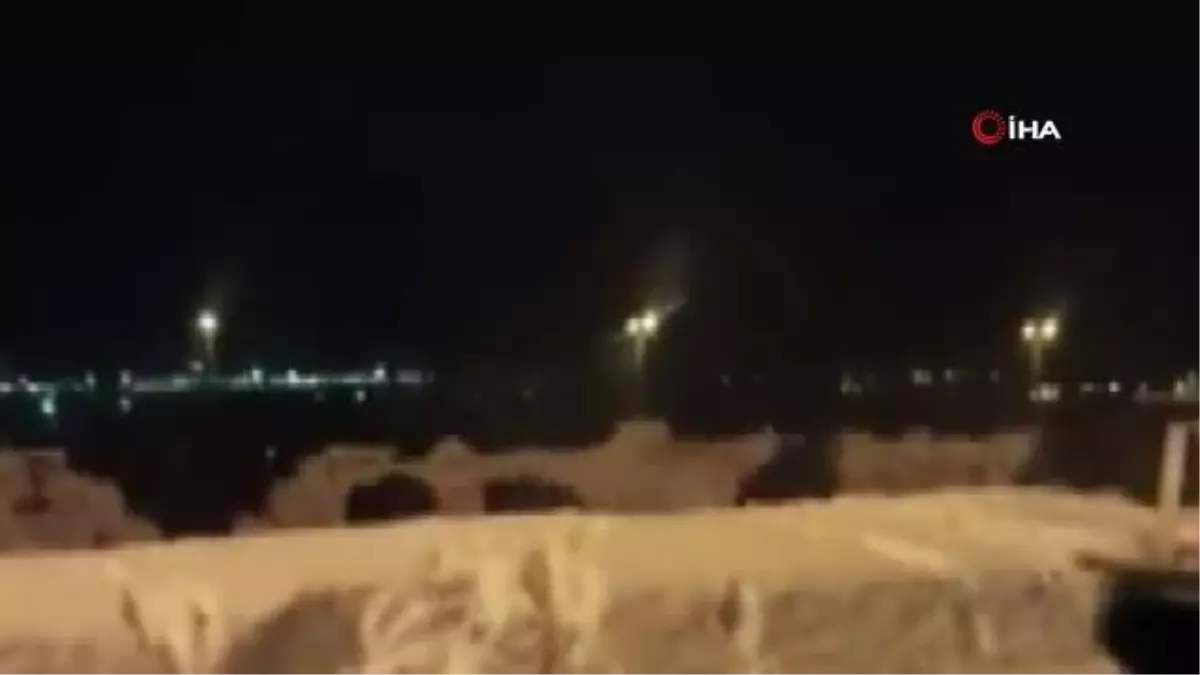 Yerleşim alanlarına inen yaban domuzu sürüsü böyle görüntülendi
