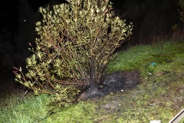 İzmir'deki korkunç valiz cinayetinin sebebi belli oldu İzmir'deki korkunç valiz cinayetinin sebebi belli oldu