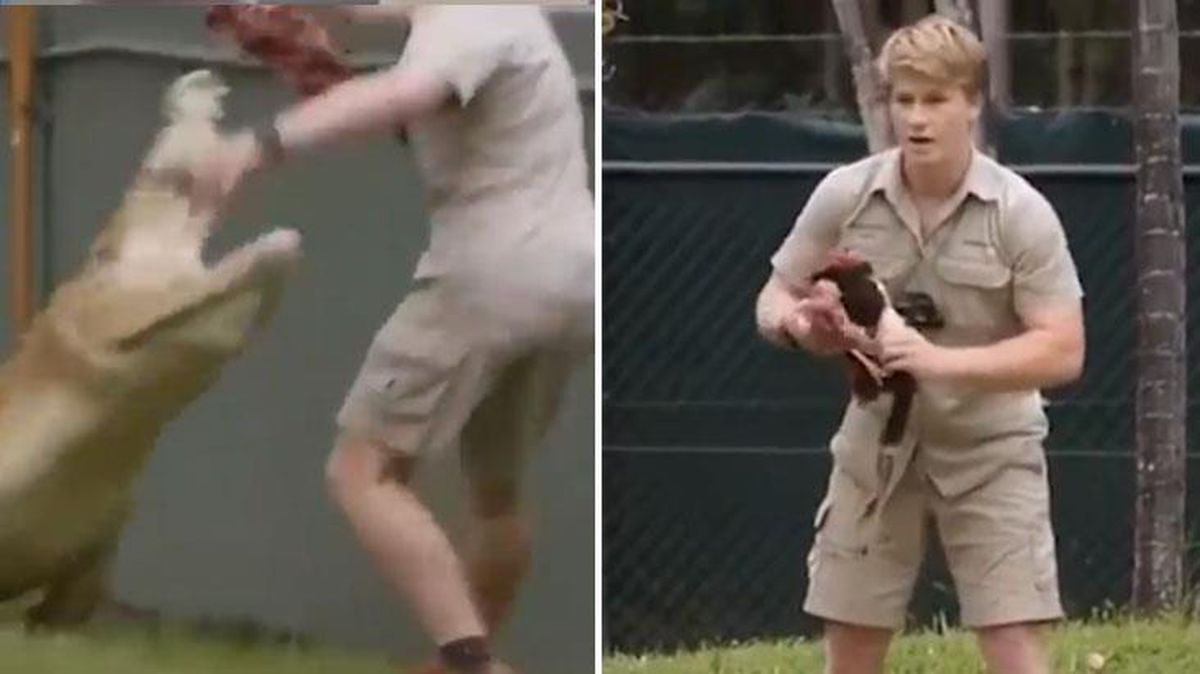 Televizyon programında işler ters gitti! Şov yapmak isterken timsaha yem oluyordu