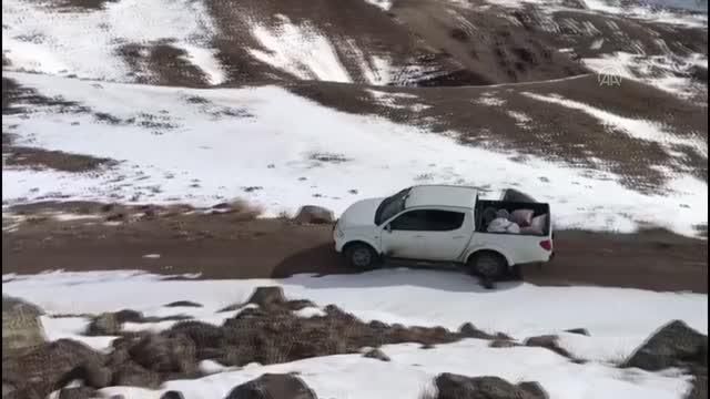 Avcılar yaban hayvanlarına yem bıraktı
