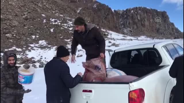 Avcılar yaban hayvanlarına yem bıraktı