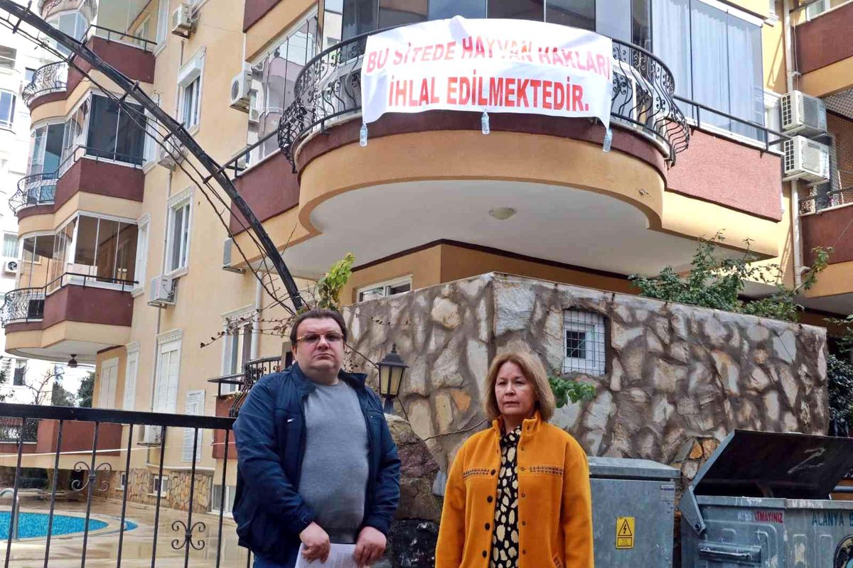 Beslediği sokak kedilerinin mamaları toplatılınca çılgına dönen Hollandalı'dan pankartlı tepki