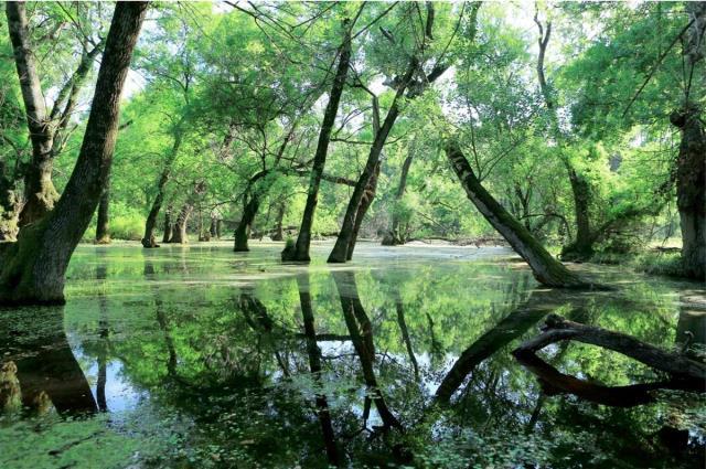 Bursa'da gezilecek yerler, Bursa'da gezilecek en güzel tarihi ve doğal yerler neresidir?