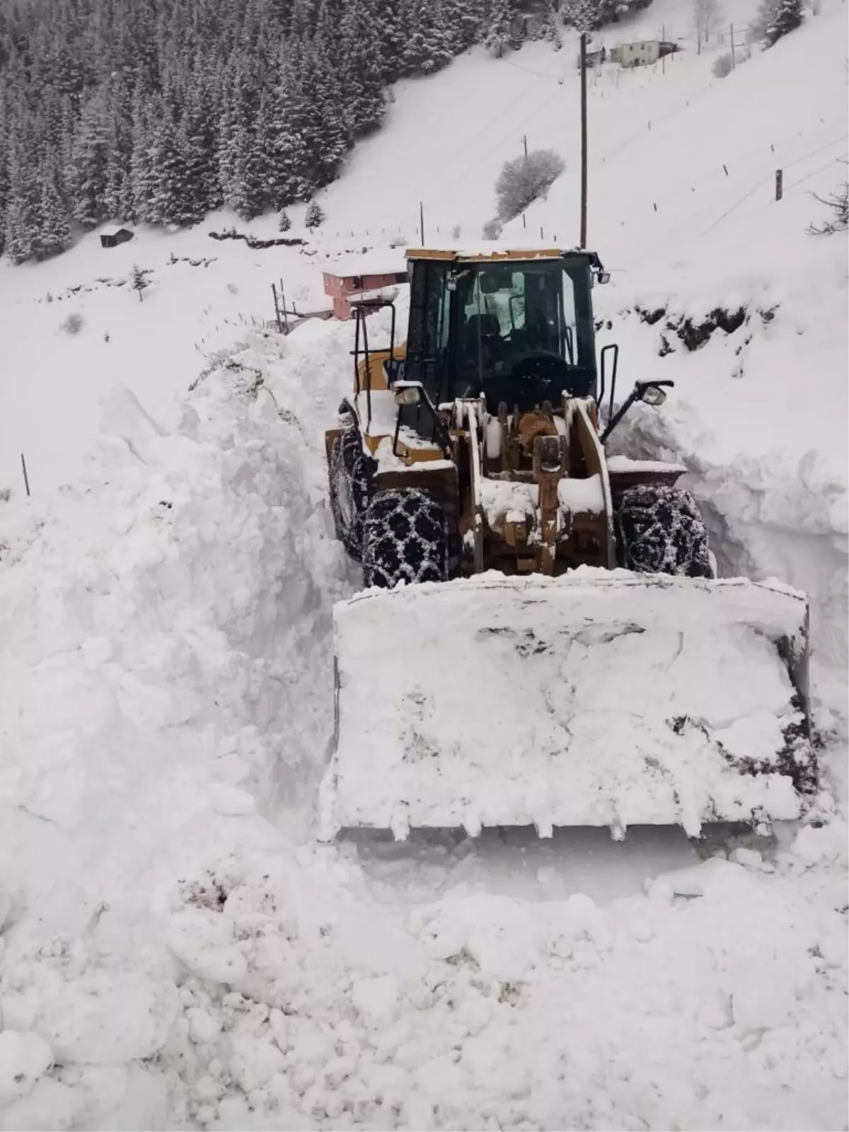 Gümüşhane, Giresun ve Artvin'de kar nedeniyle 96 köye ulaşım sağlanamıyor