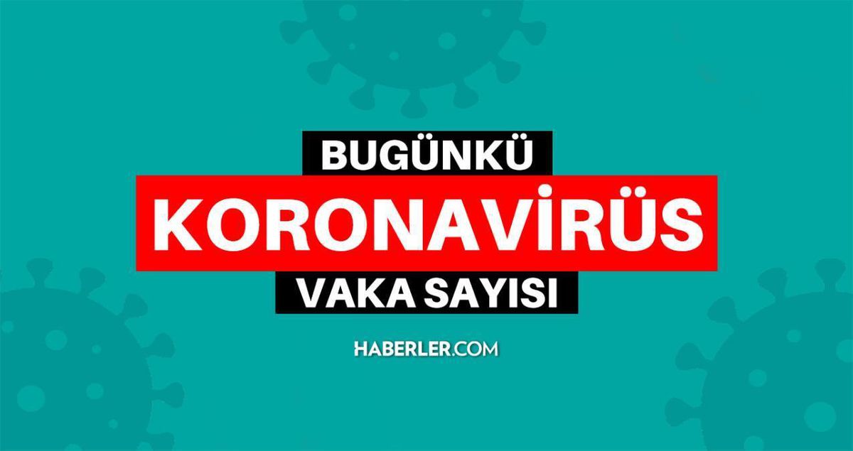 Bugünkü vaka sayısı kaç oldu? SON DAKİKA 14 Şubat 2022 koronavirüs tablosu yayınlandı! Türkiye'de bugün kaç kişi öldü? Bugünkü Covid tablosu açıklandı