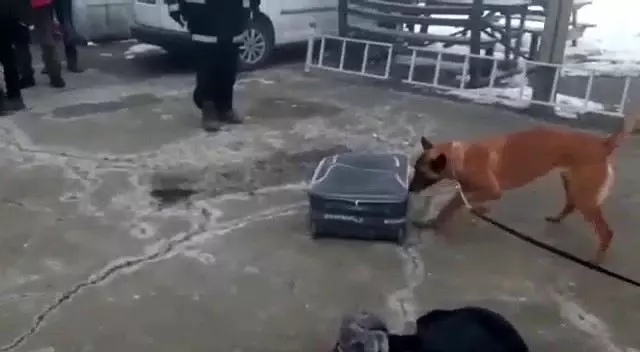 İzne çıkan uzman çavuş valiz içine sakladığı 10 kilo 50 gram uyuşturucu maddesi ile yakalandı