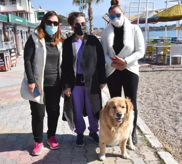 Köpeklere taş attığı için kendisini uyaran 2 kadını dövdü!