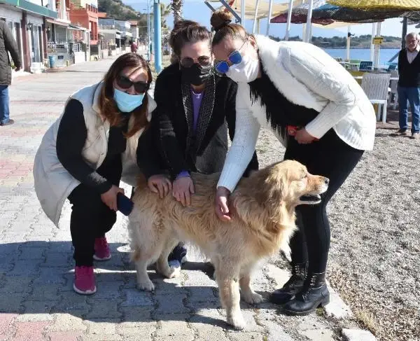 Köpeklere taş attığı için kendisini uyaran 2 kadını dövdü!