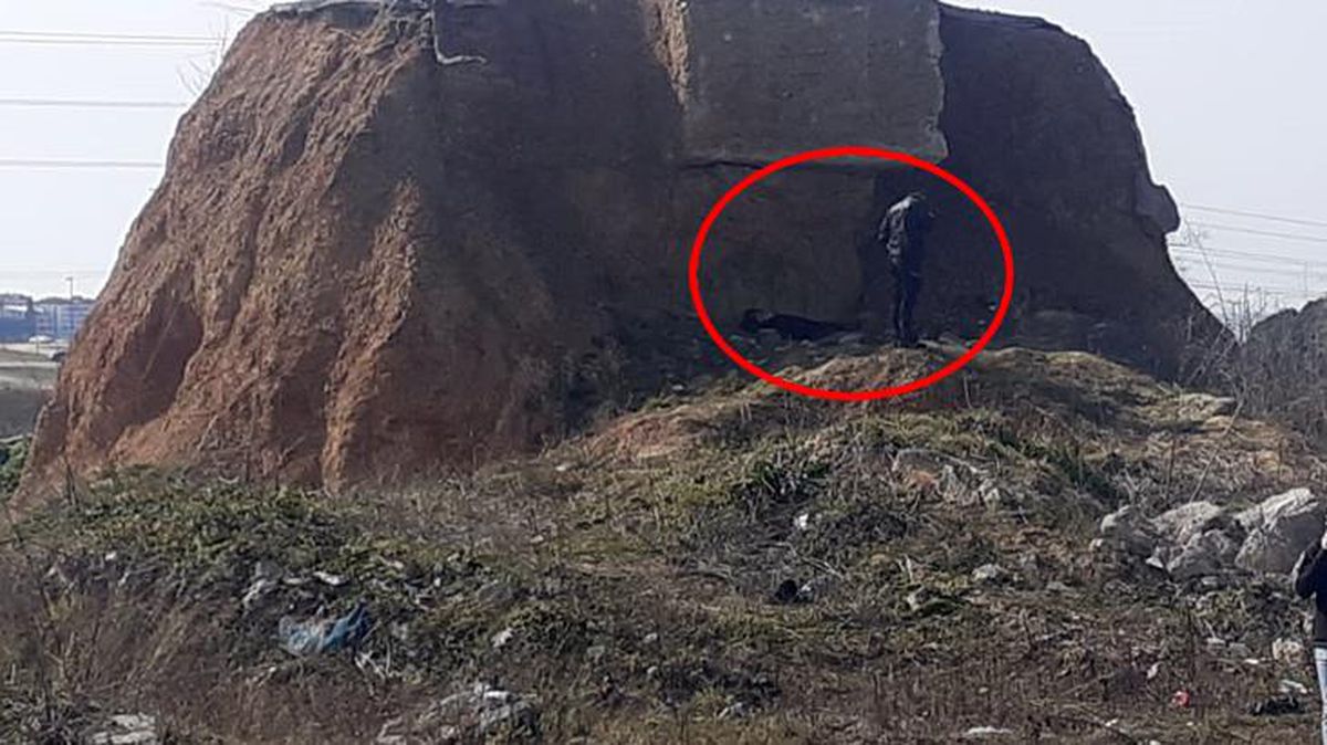 Hayvan pazarında başından vurulmuş erkek cesedi bulundu! Ekipler tek ihtimal üzerinde duruyor