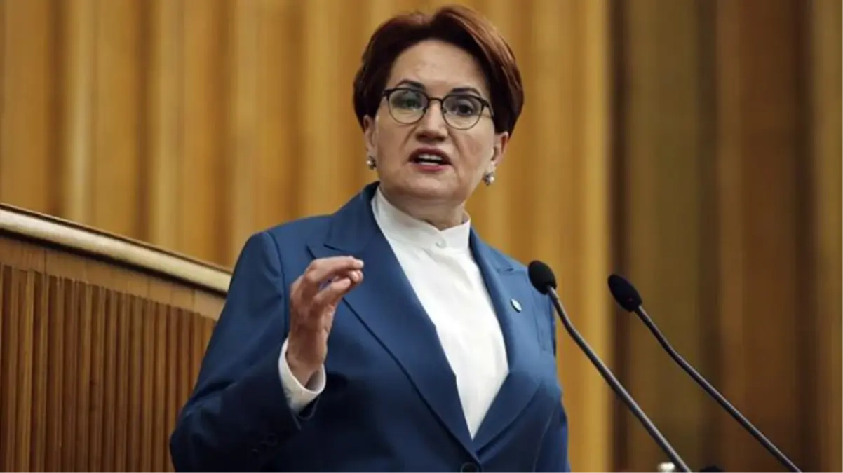 Politik mesaj içerdiği söylenen Tarkan'ın 'Geççek' şarkısı muhalefetin diline dolandı! İlk paylaşım Akşener'den