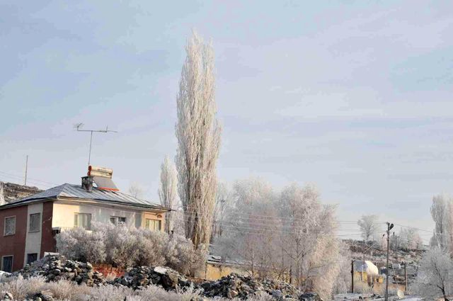Kars buz kesti, ağaçlar kırağı tuttu