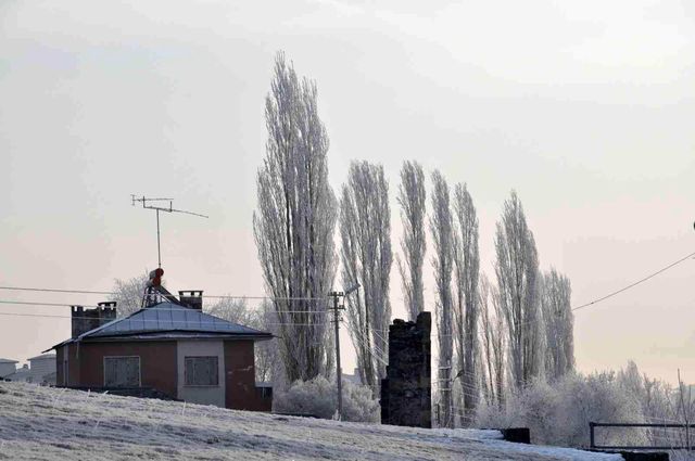 Kars buz kesti, ağaçlar kırağı tuttu