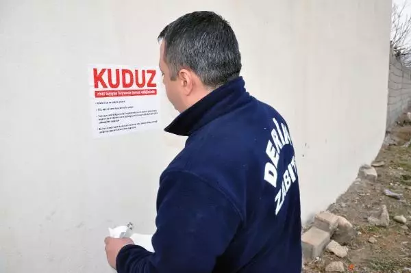 Mardin'de 4'ü çocuk 7 kişiyi ısıran sokak köpeği kuduz çıktı! Mahalle karantinaya alındı Mardin'de 4'ü çocuk 7 kişiyi ısıran sokak köpeği kuduz çıktı! Mahalle karantinaya alındı