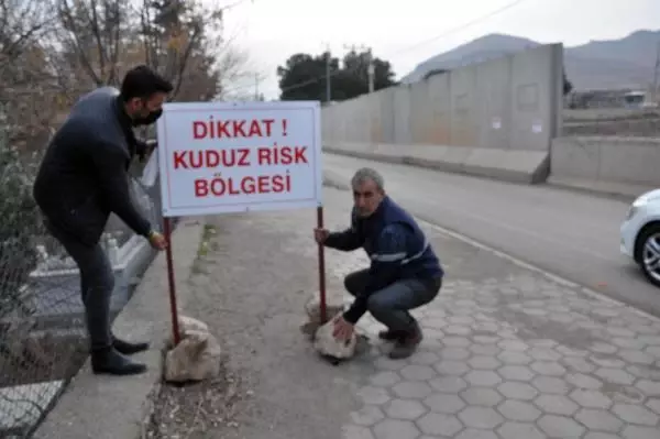 Mardin'de 4'ü çocuk 7 kişiyi ısıran sokak köpeği kuduz çıktı! Mahalle karantinaya alındı Mardin'de 4'ü çocuk 7 kişiyi ısıran sokak köpeği kuduz çıktı! Mahalle karantinaya alındı