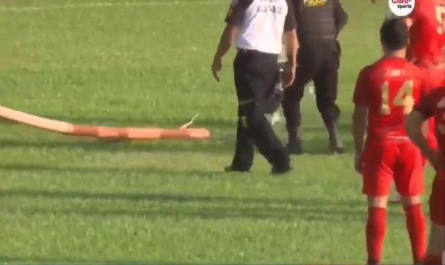 Korku dolu anlar! Sahaya yılan girdi, futbolcular kaçacak delik aradı