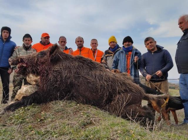 220 kiloluk domuz avcıya böyle saldırdı