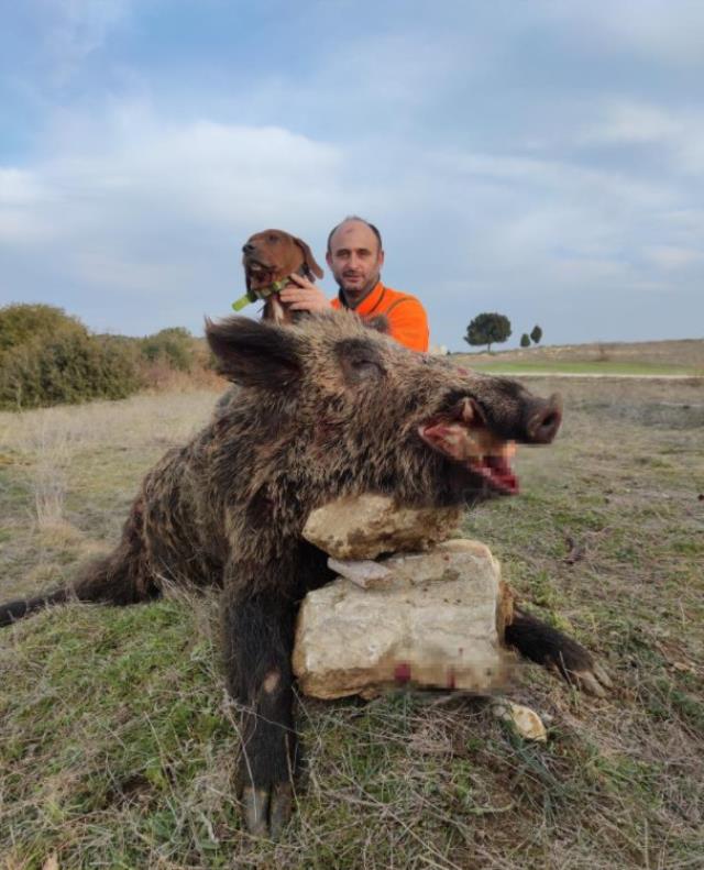 220 kiloluk domuz avcıya böyle saldırdı