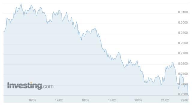 ROSE Coin yorum ve geleceği! ROSE Coin nedir?