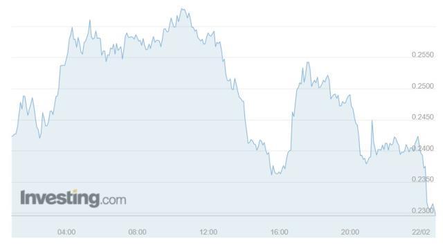 ROSE Coin yorum ve geleceği! ROSE Coin nedir?