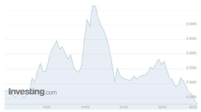 ROSE Coin yorum ve geleceği! ROSE Coin nedir?