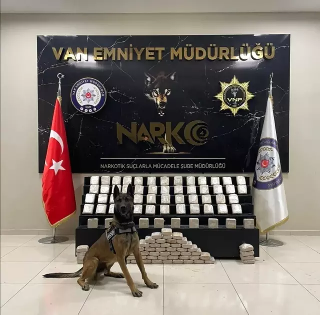 Narkotik polisinin sevimli dostları! Magnum ve Bobi, hassas burunlarıyla uyuşturucuya geçit vermiyor