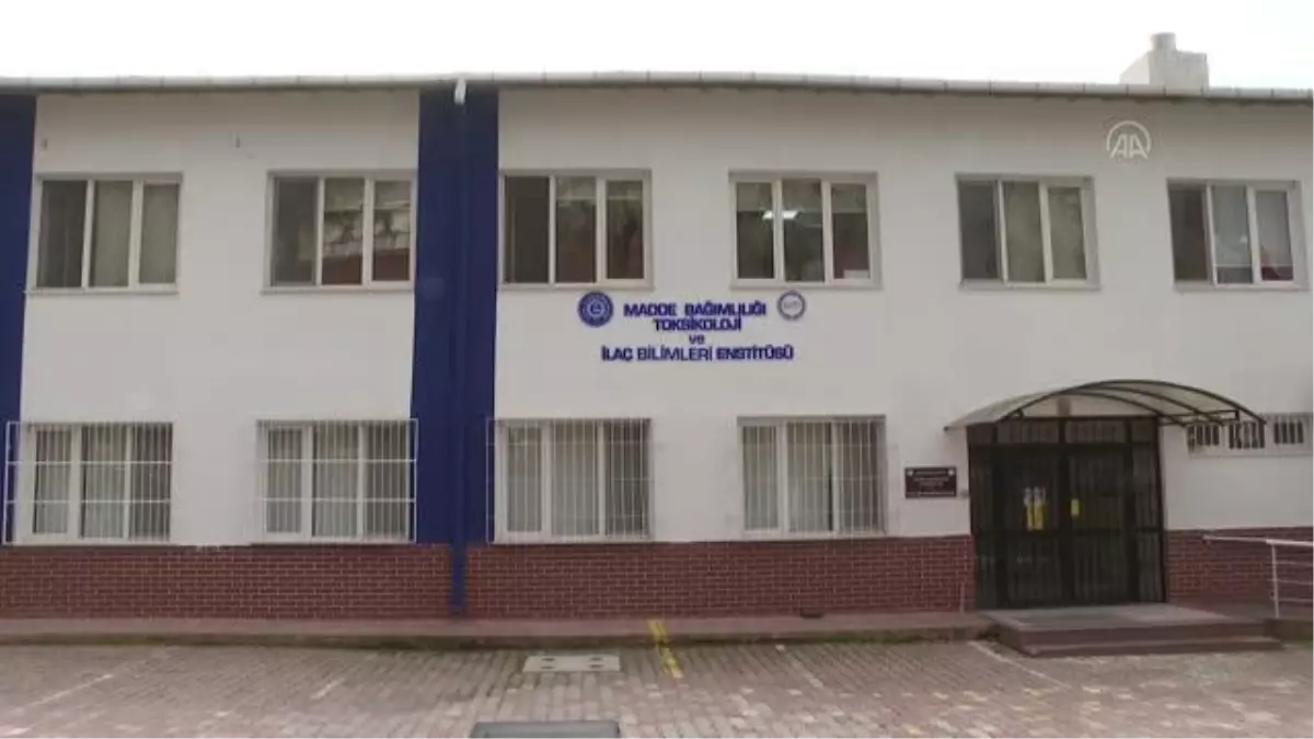 Çocukluk çağında travma ve uyuşturucu 'hafızayı' da vuruyor