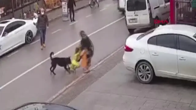Vicdansız anne kamerada! Köpeğin saldırısına uğrayan kadın çocuğunu bırakıp kaçtı Vicdansız anne kamerada! Köpeğin saldırısına uğrayan kadın çocuğunu bırakıp kaçtı