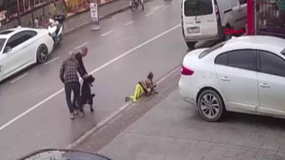 Vicdansız anne kamerada! Köpek kendilerine saldırınca çocuğunu bırakıp kaçtı