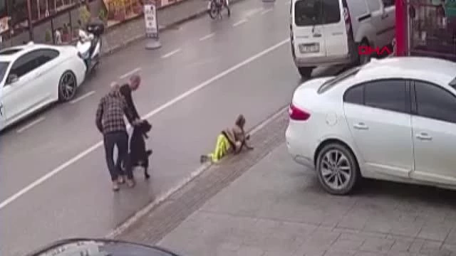 Vicdansız anne kamerada! Köpeğin saldırısına uğrayan kadın çocuğunu bırakıp kaçtı