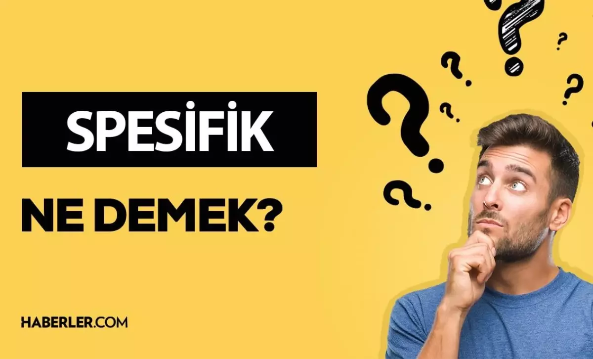 Spesifik ne demek? Spesifik anlamı ne?