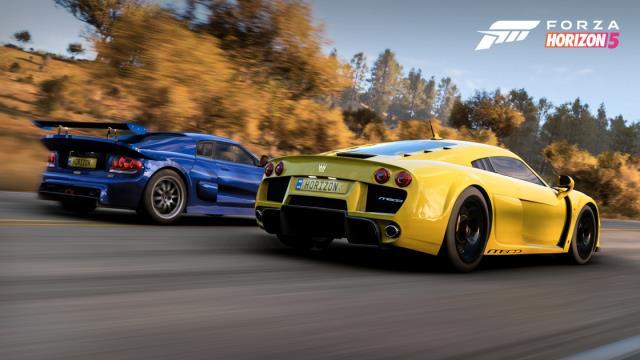 Forza Horizon 5'e işaret lisanı takviyesi geliyor