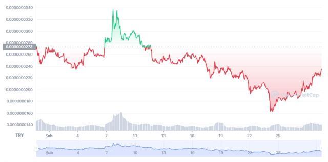 Kishu Coin (KISHU) nedir? Kishu Inu güncel yorum ve grafiği! Kishu Inu ne kadar, kaç TL? Kishu Inu fiyat ve geleceği hakkında bilgiler!