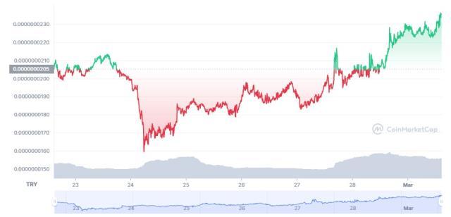 Kishu Coin (KISHU) nedir? Kishu Inu güncel yorum ve grafiği! Kishu Inu ne kadar, kaç TL? Kishu Inu fiyat ve geleceği hakkında bilgiler!