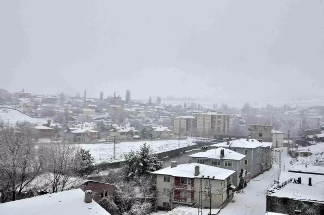 Kars'ta kar yağışı