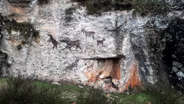 Milyonlarca yıl öncesine ilişkin sanıldı gerçek farklı çıktı