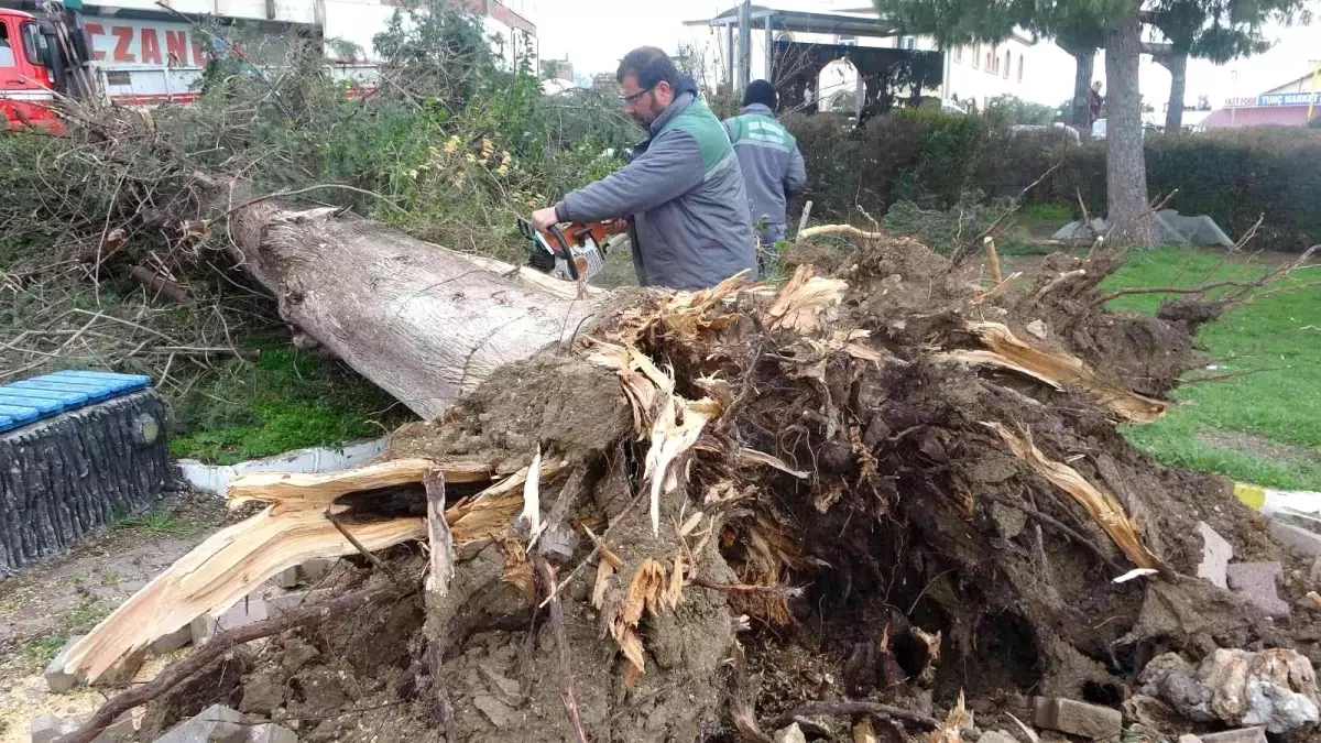 Antalya'da hortumun vurduğu mahallede dehşet gün ağarınca ortaya çıktı