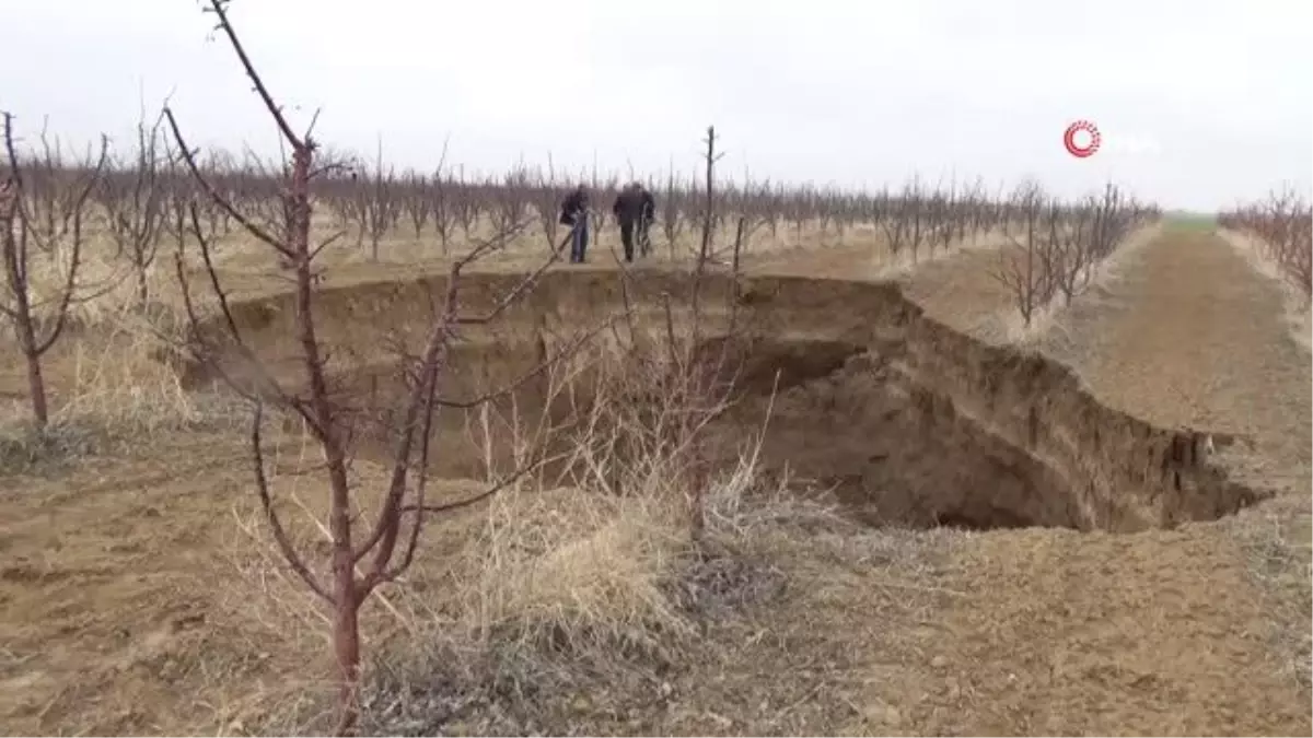 Karaman'da oluşan dev obruk, elma ağaçlarını yuttu