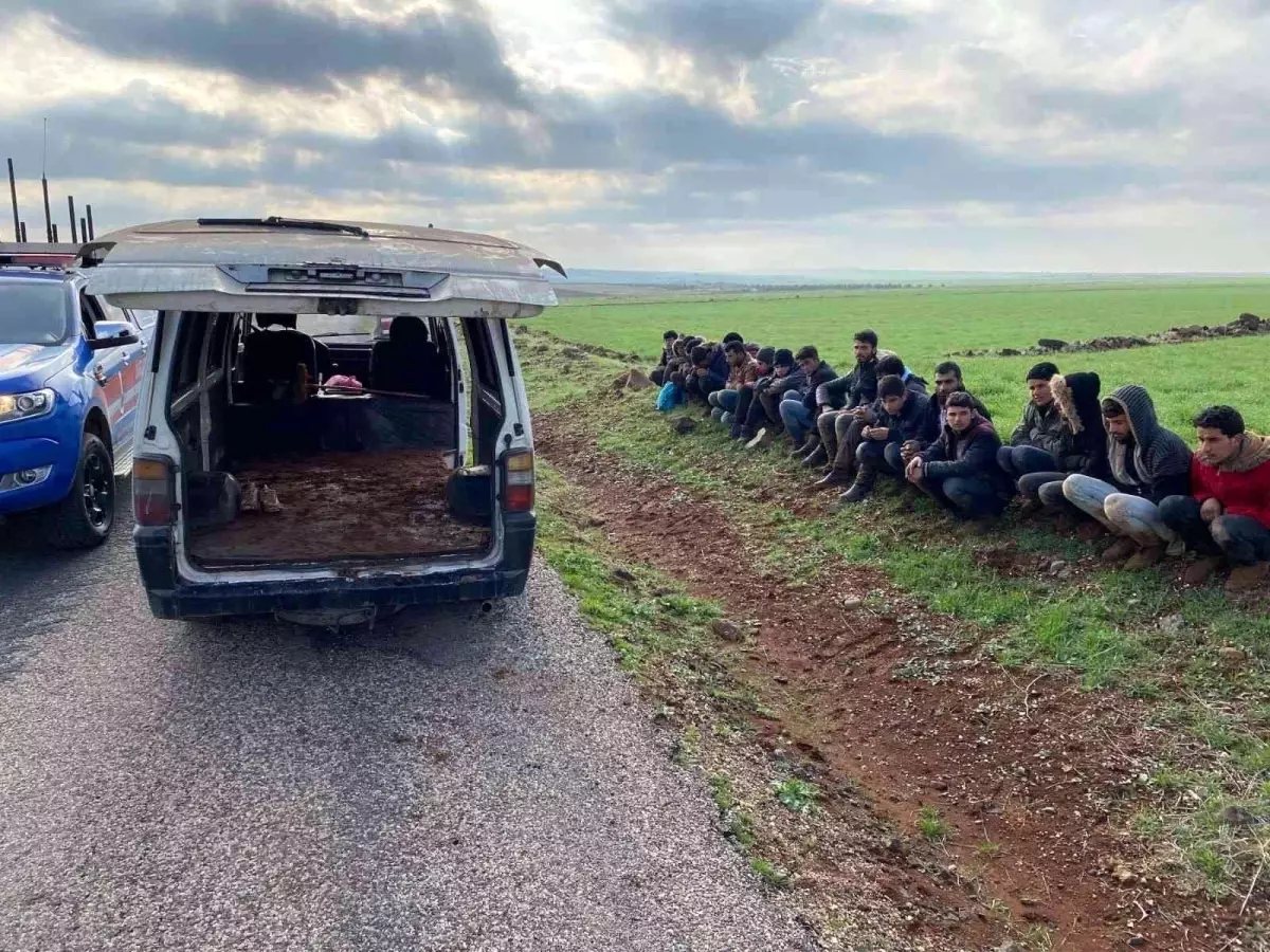 Kilis'te düzensiz göçmen kaçakçılığı