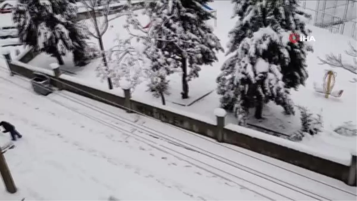 Konya'da kar yağışı nedeniyle ağaçlar devrildi