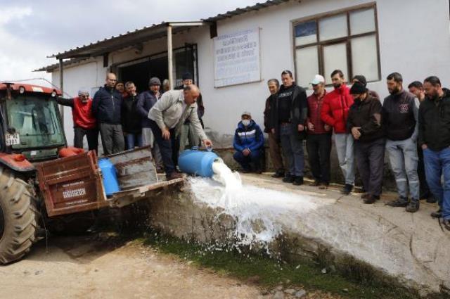 Üreticiler, düşük fiyat veren mandıracılara kızıp, sütleri döktü
