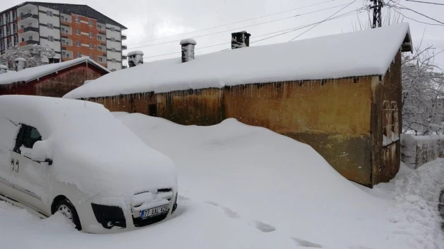 Bitlis'te 207 köy yolu ulaşıma kapandı