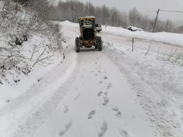 Karadeniz'de 5 vilayette 162 köy ve mahalle yolu kardan kapandı