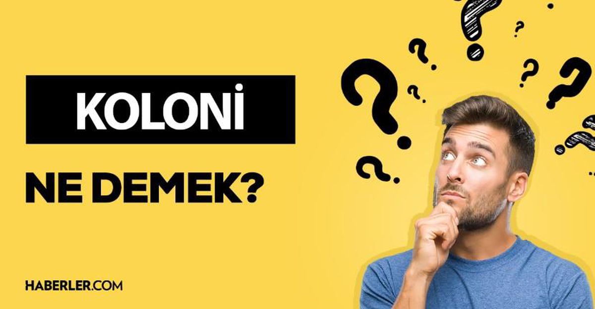 Koloni ne demek? Koloni anlamı ne?