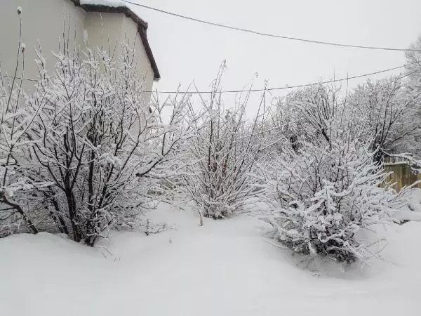 Van'da 164 yerleşim yerine ulaşım yok; Başkale'de okullar tatil