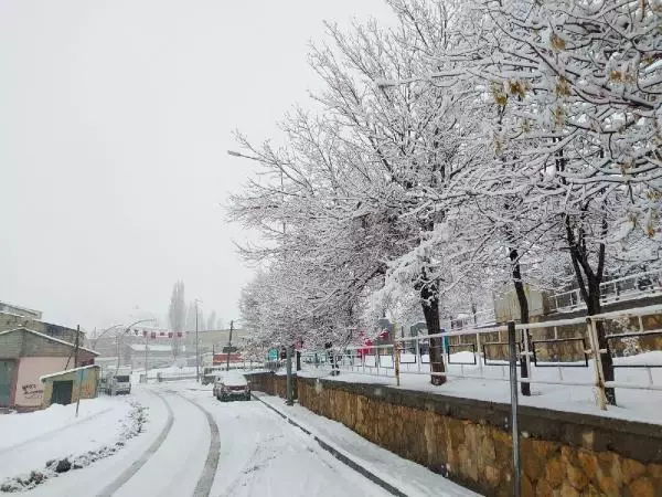 Van'da 164 yerleşim yerine ulaşım yok; Başkale'de okullar tatil