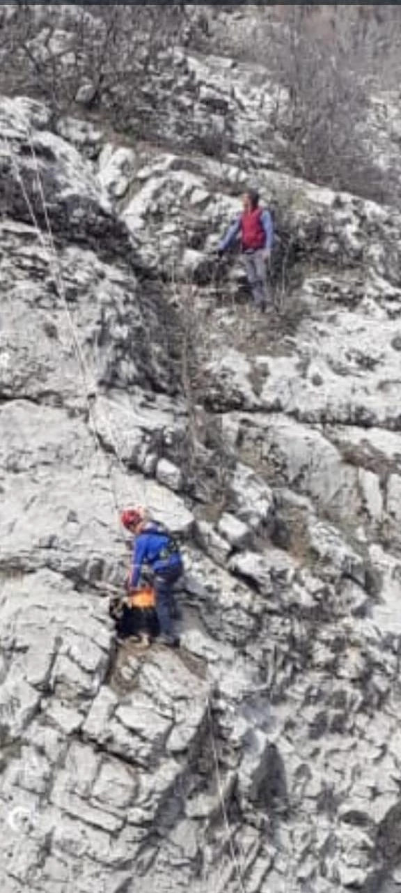 Adıyaman'da kayalıklarda mahsur kalan keçi AFAD takımlarınca kurtarıldı