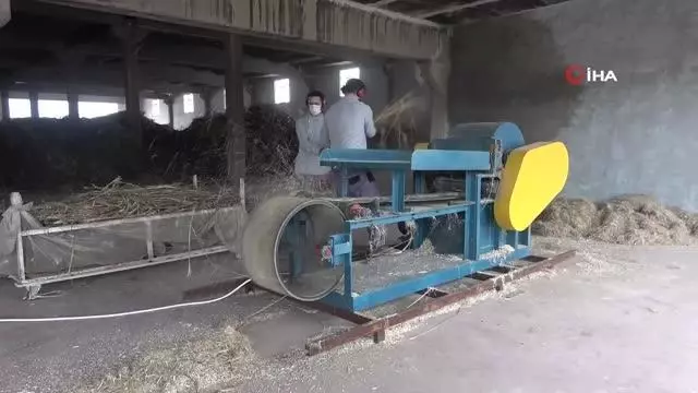 Hasat edilen kenevirler, işlenerek bir çok farklı esere dönüştürüldü