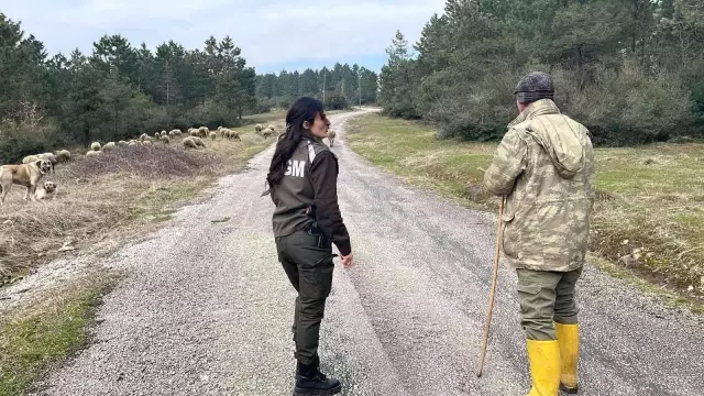 Ormanların kraliçesi
